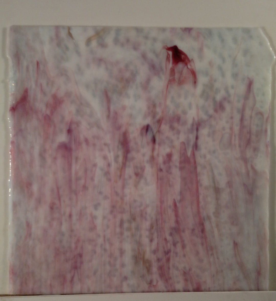 Youghiogheny Glass 1077 RG White Opal listing