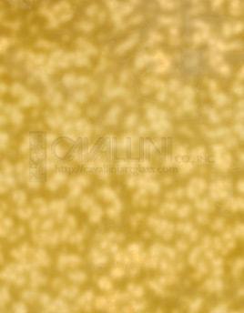 Wissmach Glass 2M-914 Golden Beige Mottle listing