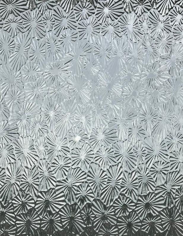 Architectural Glass CLEAR FLORENTINE listing