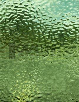 Wissmach Glass EM 287 EM 287 English Muffle/Sage Green also 4907 listing