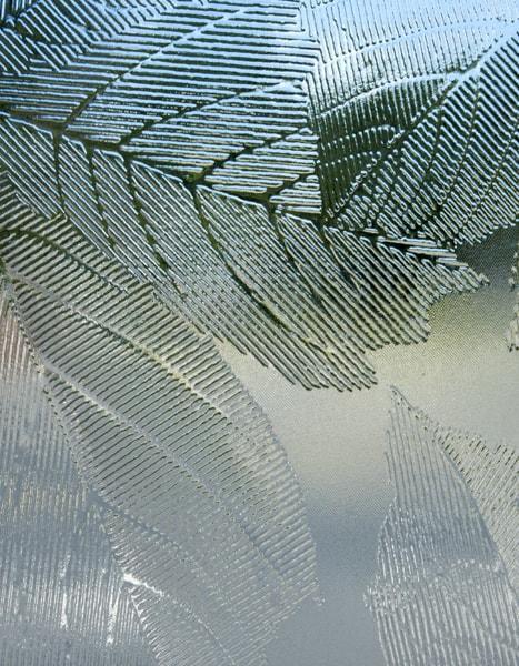 Architectural Glass SYCAMORE PI listing