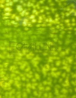 Wissmach Glass VM-201 Green Mottle listing