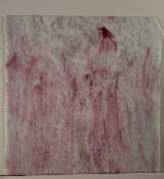 Youghiogheny Glass 1077 RG 12x12 White Opal /Gold Pink/ Bubblegum Pink sixth stock sheet BIN A31