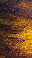 Wissmach Glass 199 LLG 32x42 Translucent Brown/Amber Streaky Granite full stock sheet