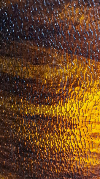 Wissmach Glass 199 LLG 32x42 Translucent Brown/Amber Streaky Granite full stock sheet