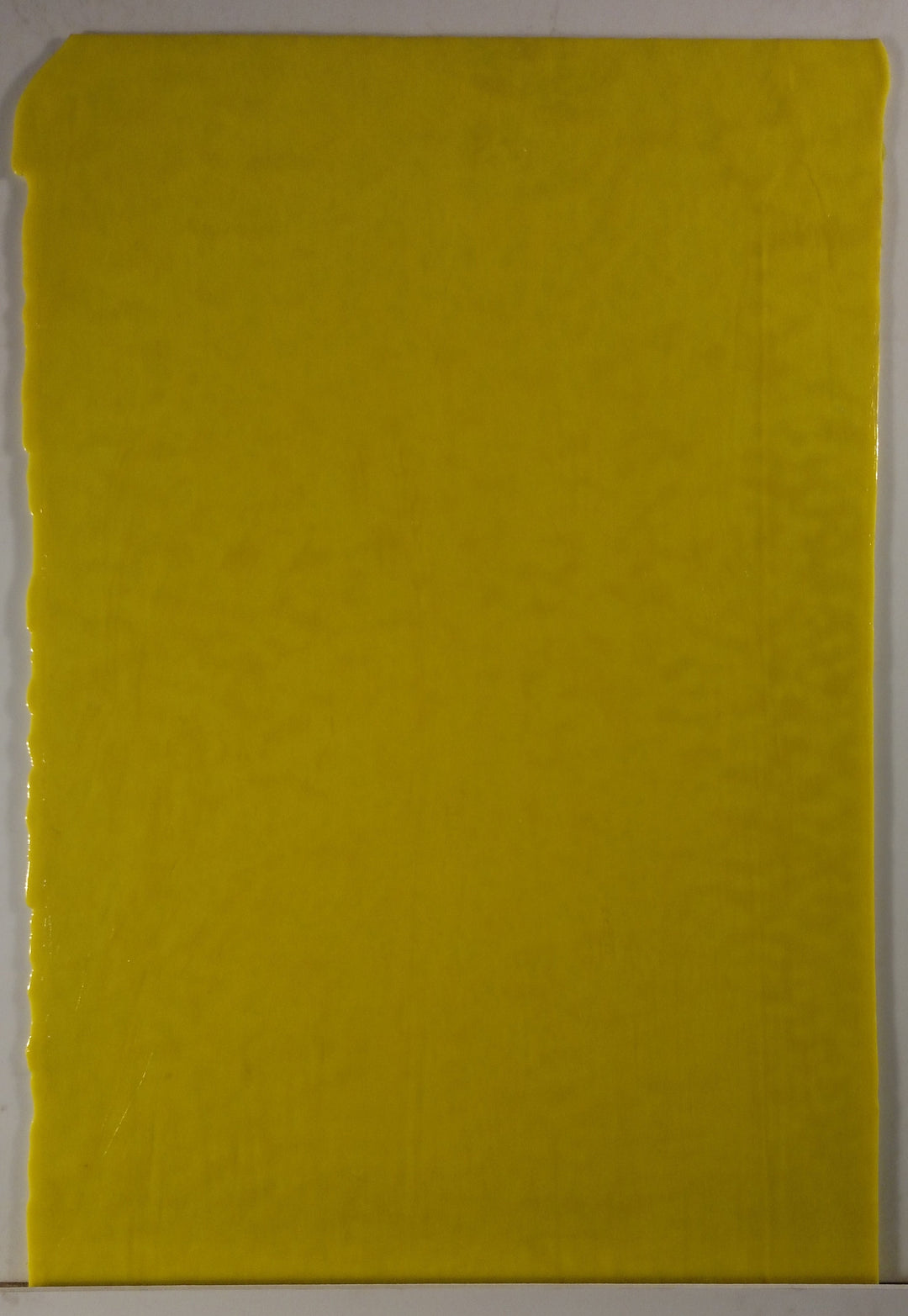 Youghiogheny Glass 5000 HS 12x12 Lemon Yellow Opal High Strike sixth stock sheet BIN A28
