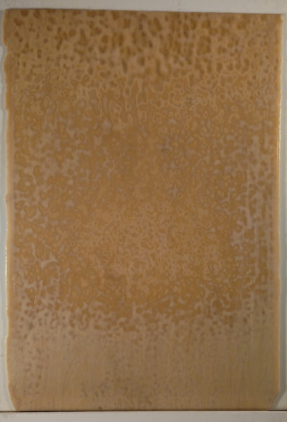 Youghiogheny Glass 9050 HS 12x12 Peach Opal High Strike sixth stock sheet BIN A28