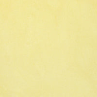 Oceanside Frit Powder Yellow Transparent (COE 96) 8.5 oz jar F1-161-F-8