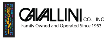 Cavallini Co Inc.,