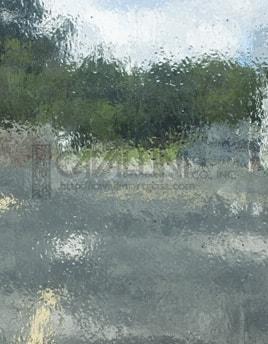 Wissmach Glass 203DR 16x21 Pale Green Cathedral quarter stock sheet
