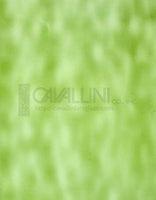 Wissmach Glass 215AQ 14x16 Mint Green Opalescent Aqua Light sheet 23142000