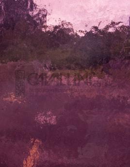 Wissmach Glass 241DR 32x42 Violet Cathedral full stock sheet