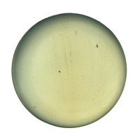 Gems 25mm Round Smooth Jewel Opal
