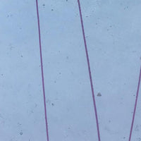 Bullseye Glass 4156-00F 10x17.5 Disc. Cranberry Pink Streamers on Clear quarter stock sheet