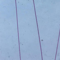 Bullseye Glass 4156-00F Disc. Cranberry Pink Streamers on Clear SQFT Listing