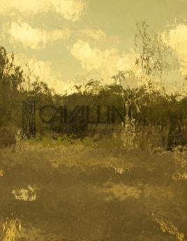 Wissmach Glass 47DR 32x42 Medium Light Amber Cathedral full stock sheet