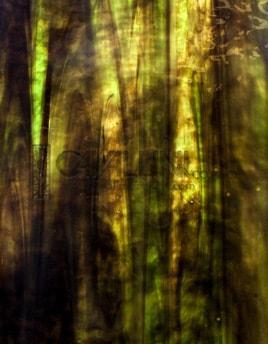 Wissmach Glass 59 LG 32x42 Green full stock sheet