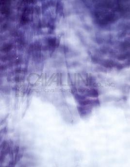 Kokomo Glass 192MLG 32x21 Light Violet/White Granite half stock sheet