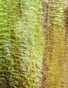 Kokomo Glass 72LLG 32x21 Yellow Green/Red Violet Wispy Granite half stock sheet