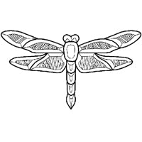 BEVEL CLUSTER DRAGONFLY 10" X 5 9/16" 14PCS