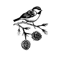Engraved Bevels Chickadee Glass Engraved Bevel