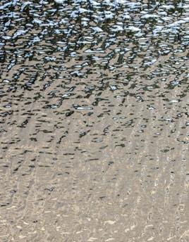 Architectural Glass GRANITO 3MM SQFT Listing